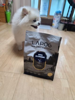 [푸디웜] 라포그 리얼인섹트 소프트키블 스킨 1KG — 5점을 준 리뷰어가 2022년 9월 올린 사용 사진