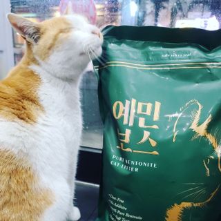 까꿍님이 올린 리뷰 사진 2