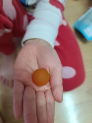 다솜이마마님이 올린 리뷰 사진 4