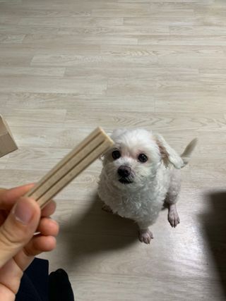 페페로니 클린플러스 덴탈치킨껌 10g x 14p — 5점을 준 리뷰어가 2021년 7월 올린 사용 사진