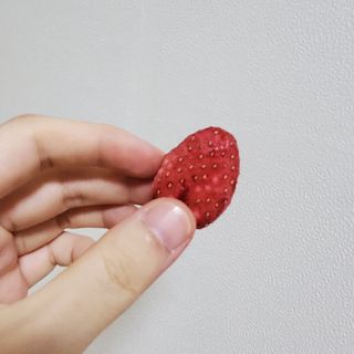 미니유님이 올린 리뷰 사진 2