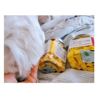 페페로니 진짜 프리바이오틱스 치즈+치즈고구마 180g+180g — 5점을 준 리뷰어가 2021년 7월 올린 사용 사진