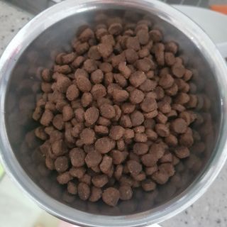 바비와구르미님이 올린 리뷰 사진 2