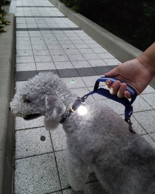 lemoniee님이 올린 리뷰 사진 3