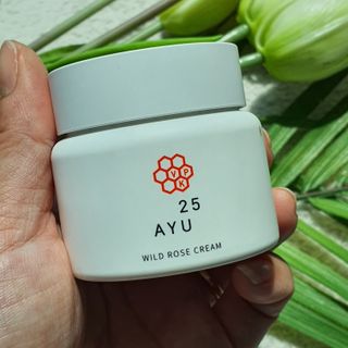 AYU25[아유트웬티파이브]다마스크로즈워터 베이스 천연 수분 촉촉 크림 — 5점을 준 리뷰어가 2021년 4월 올린 사용 사진