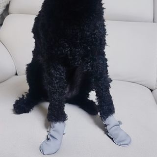 다시마미마미님이 올린 리뷰 사진 2