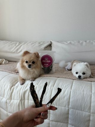 갓수진님이 올린 리뷰 사진 3