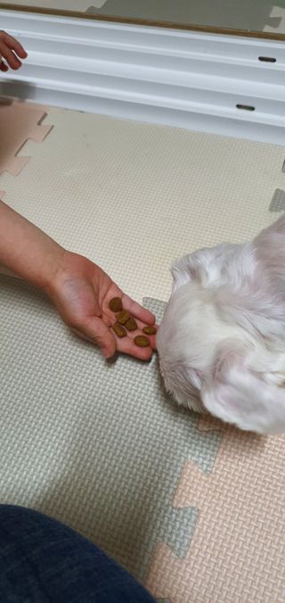 KanginLee님이 올린 리뷰 사진 4