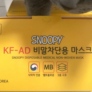 JHWORLD 스누피 마스크 정품 스누피 KF-AD 국내 비말차단 아동용 성인용 일회용 덴탈마스크 50매 — 5점을 준 리뷰어가 2021년 6월 올린 사용 사진