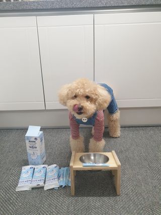 차세라님이 올린 리뷰 사진 2