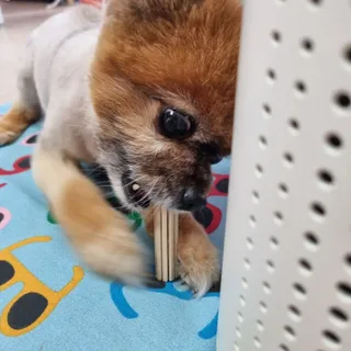 단님이 올린 리뷰 사진 3