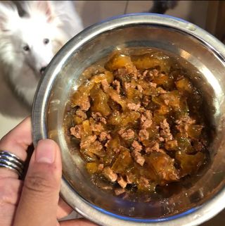 비타크래프트 조에시 하트캔 85g 강아지 습식캔 10캔 — 5점을 준 리뷰어가 2021년 8월 올린 사용 사진