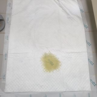 아베크 펫 와이드 프리미엄 대형 애견 강아지 배변 패드 30매 1팩 80g — 5점을 준 리뷰어가 2021년 7월 올린 사용 사진