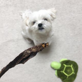 torius님이 올린 리뷰 사진 2