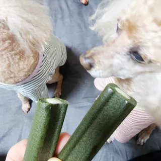 뚠꾸뚠꾸💕님이 올린 리뷰 사진 2