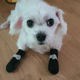 여늬님이 올린 리뷰 사진 1