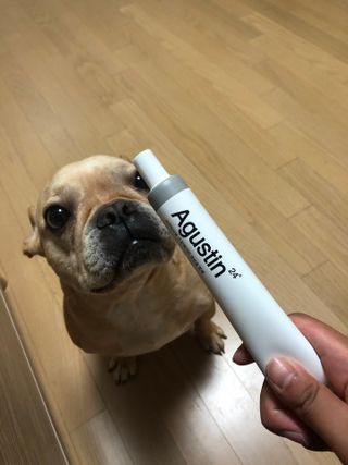 보노엄마님이 올린 리뷰 사진 2