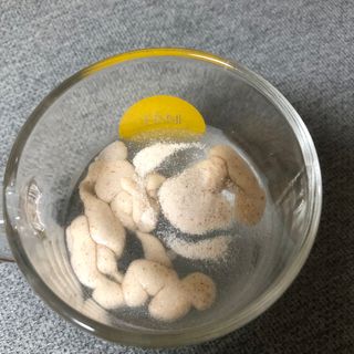 나니누네노님이 올린 리뷰 사진 4