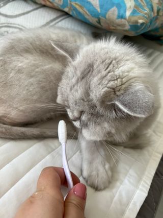 둠둠힝님이 올린 리뷰 사진 4