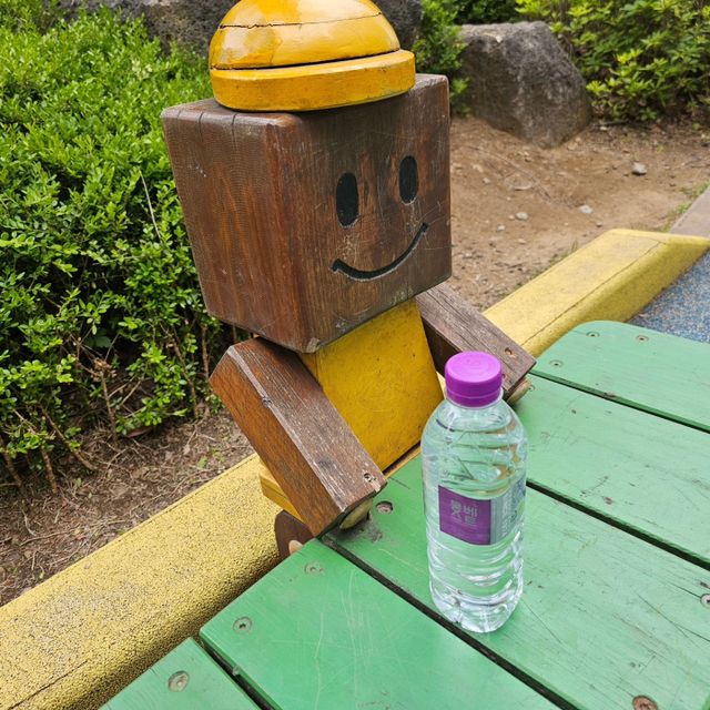 [MONTBEST] 500mL 20병 리뷰 사진