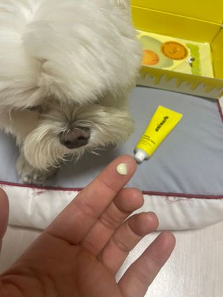 권쁜님이 올린 리뷰 사진 3