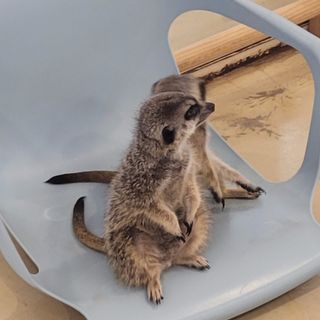 쏘오님이 올린 리뷰 사진 1