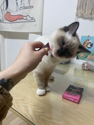 율집사님이 올린 리뷰 사진 3
