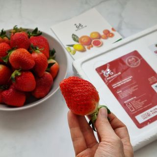 옳음 딸기 논산 설향 딸기 900g 산지직송 — 4.5점을 준 리뷰어가 2021년 2월 올린 사용 사진