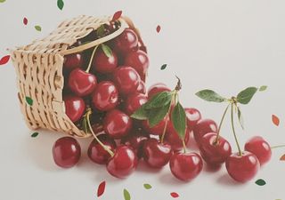 아르코♡님이 올린 리뷰 사진 4