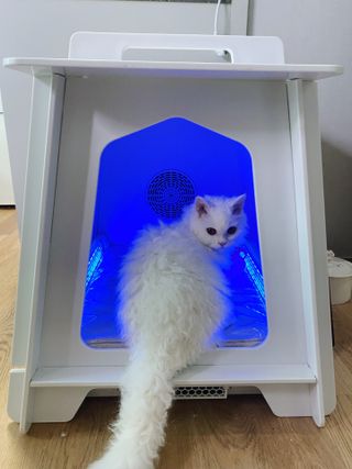 사라비비님이 올린 리뷰 사진 2