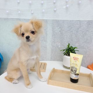 광땡이님이 올린 리뷰 사진 1
