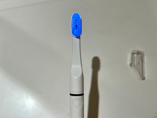 뚜나벨님이 올린 리뷰 사진 2