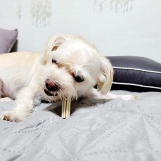 mejoom님이 올린 리뷰 사진 4