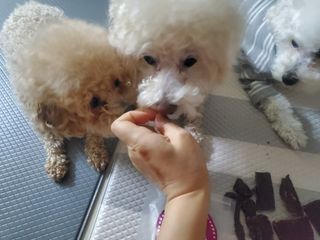 모모맘님이 올린 리뷰 사진 4