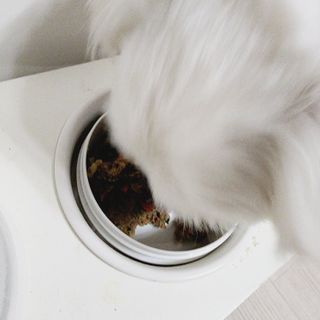hosu.1230님이 올린 리뷰 사진 1