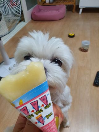 뽀오오옹님이 올린 리뷰 사진 2