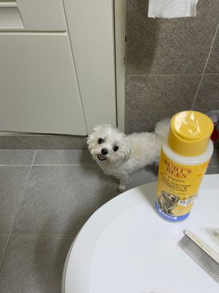 숙블리님이 올린 리뷰 사진 1