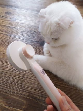 좋아님이 올린 리뷰 사진 4