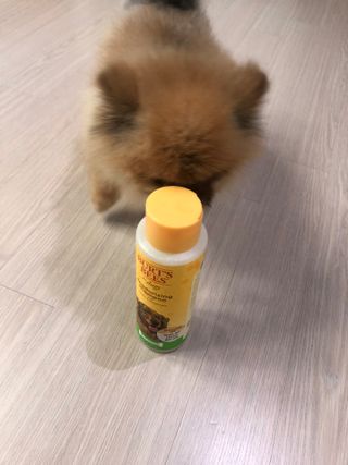 쭈야님이 올린 리뷰 사진 2