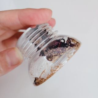 K-doraji K도라지  냉침 허브차 싸이티세트 (냉침용 캡차*2개  3종 리필차*5개) — 5점을 준 리뷰어가 2022년 7월 올린 사용 사진