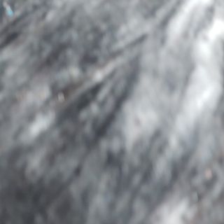 복도리님이 올린 리뷰 사진 4