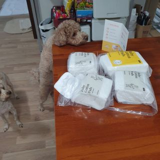 디어엘로디 프리미엄 유기농 베이비 솜티슈 40매 3 + 1 PACK — 4점을 준 리뷰어가 2021년 3월 올린 사용 사진