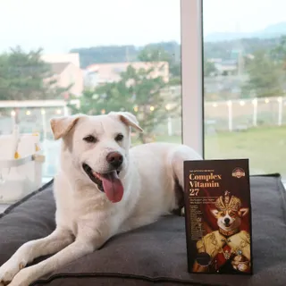 오하나님이 올린 리뷰 사진 1