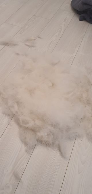 만년필님이 올린 리뷰 사진 4