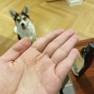 CW님이 올린 리뷰 사진 3