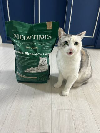 설탕칸쵸님이 올린 리뷰 사진 1