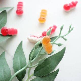 hi님이 올린 리뷰 사진 2