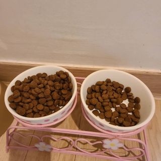 랴슈벨라님이 올린 리뷰 사진 2