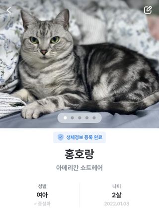 홍다경님이 올린 리뷰 사진 1