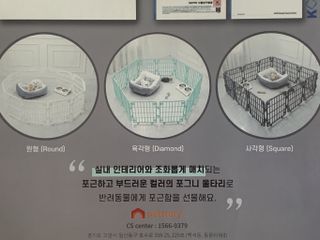 angelhyoni님이 올린 리뷰 사진 3